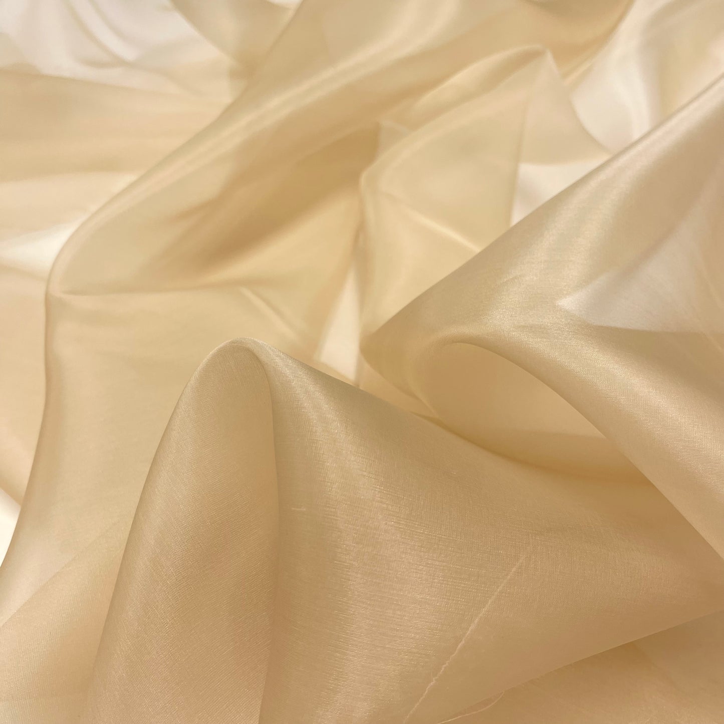 Organza di Seta – Beige Medio