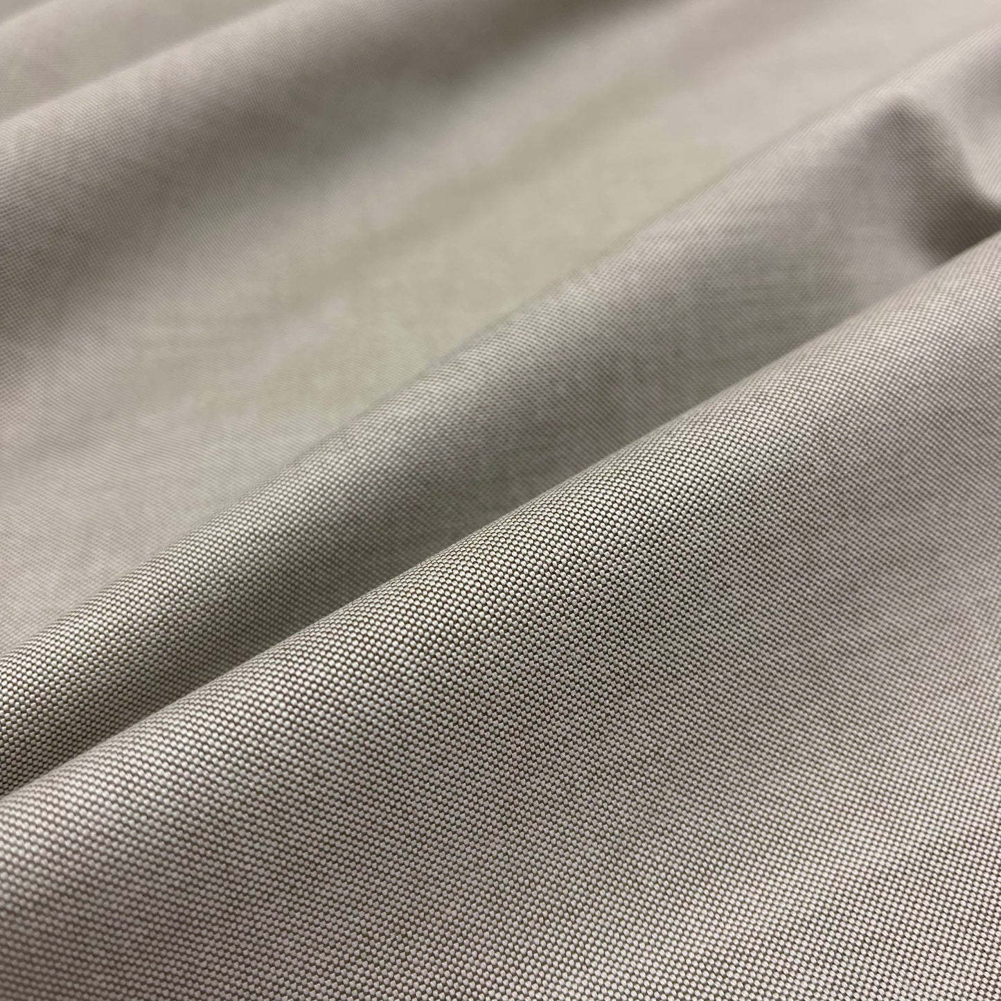 Cotone Oxford American Beige